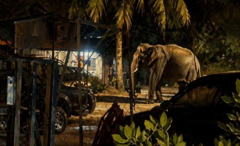 "...ingatkan ada sekatan jalan raya, rupanya gajah di tepi jalan"