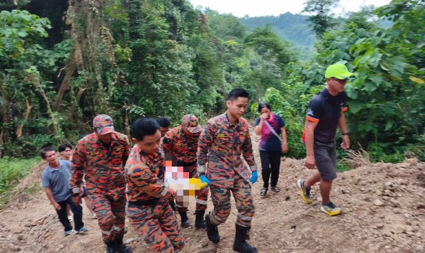 Warga emas parah dihempap pokok di Tamparuli