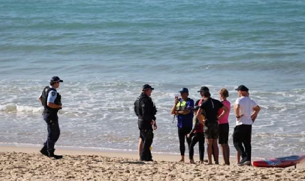 Wanita cedera parah diserang jerung di Pantai Coogee, Australia