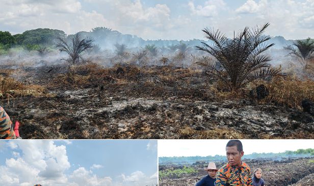 Ladang nanas terbakar: Bomba padam kebakaran di lebih separuh kawasan, terus operasi hari kedua