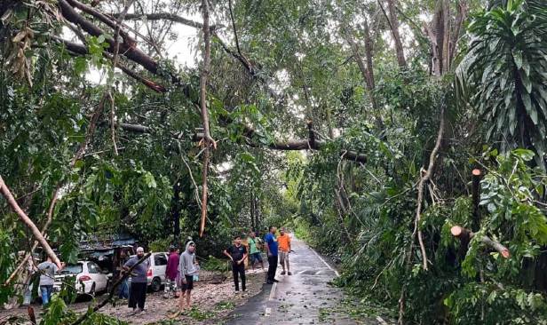 Pokok tumbang halang jalan, hempap rumah di Bangi