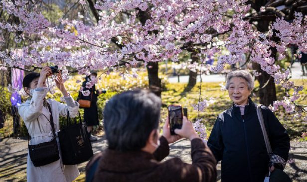 Kawasan Istana Imperial Jepun dibuka kepada orang ramai sempena musim bunga sakura