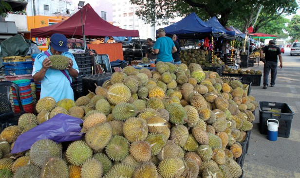 `Pesta durian' hampiri penghujung, musang king, duri hitam kembali harga asal