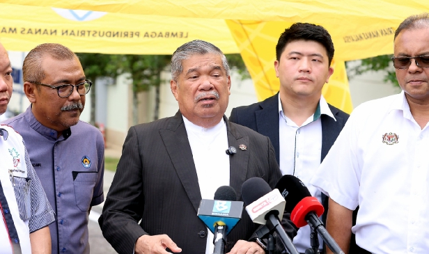 338 ladang babi berdaftar tahun lalu, turun berbanding 435 pada 2024 - Mat Sabu