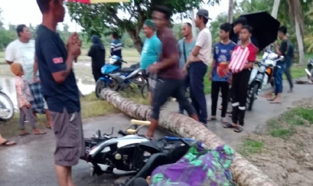 Pelajar maut, rakan parah dihempap pokok tumbang dibadai ribut 5 minit
