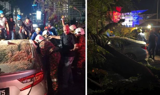 [VIDEO] Kereta dihempap pokok di Jalan Tun Razak, pemandu cedera