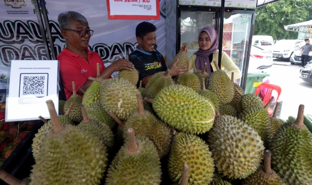 Pemain industri perlu patuh protokol eksport durian segar ke China - Foong Hin