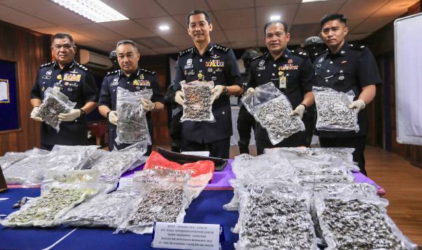 2 beradik ditahan jadikan rumah pusaka transit dadah, bunga ganja RM1.76 juta dirampas