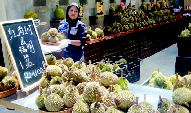 Khazanah emas berduri