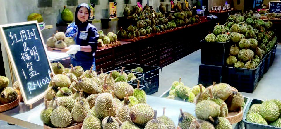 Khazanah emas berduri