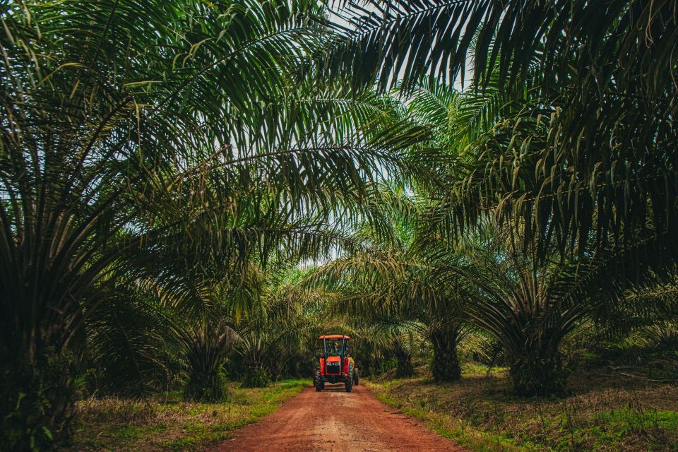 Heavy machinery use in plantations