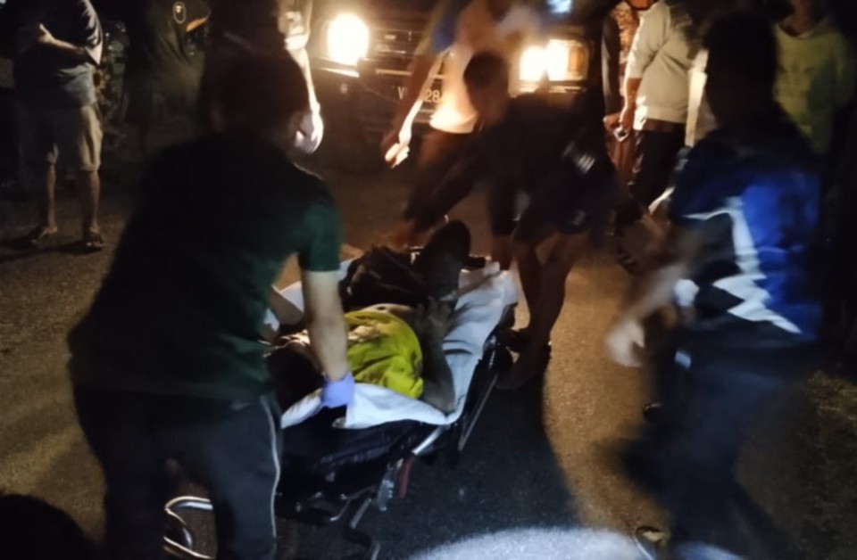 Lelaki Orang Asli cedera diserang gajah ceroboh kawasan kediaman