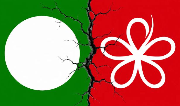 Perpecahan PAS, BERSATU cipta pemetaan baharu politik Melayu