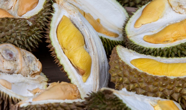 Durian banyak khasiat tapi usah terlajak makan