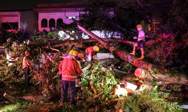 Pokok Angsana 130 tahun tumbang akibat cuaca buruk, kali terakhir diselenggara April lalu