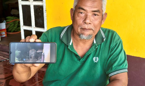 'Pasang CCTV untuk keselamatan, terkejut nampak gajah lalu tepi rumah' - Penduduk