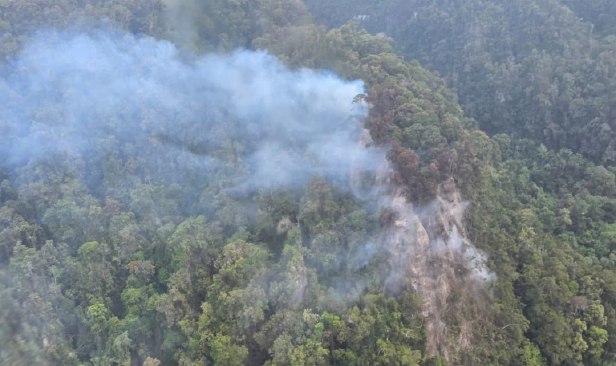 Bomba gerakkan helikopter bantu padam kebakaran hutan dekat Gua Niah