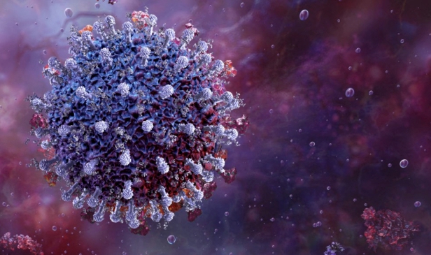 Coronavirus tidak lagi menjadi ancaman - ahli virologi