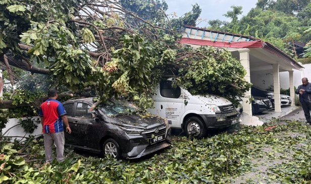 EXCO Melaka cemas pokok tumbang hempap rumah, tiga kenderaan rosak