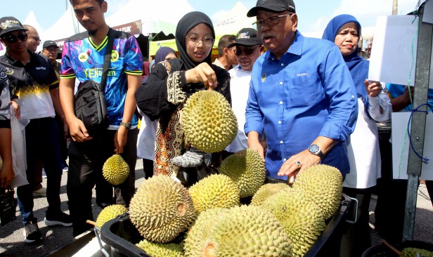 FAMA buka 20 pusat pengumpulan atasi lambakan durian di Perak