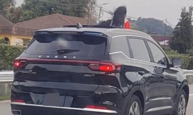 Wanita benar anak keluar kepala melalui 'sunroof' ditahan