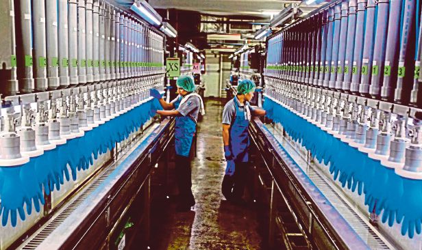 Automasi AI pulihkan daya saing industri sarung tangan Malaysia
