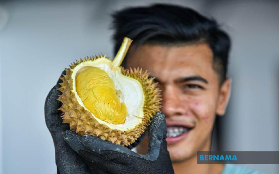 durian20