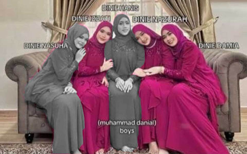 hm413dinie