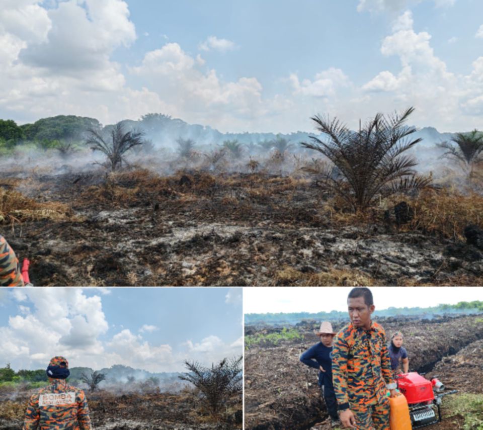 Ladang nanas terbakar: Bomba padam kebakaran di lebih separuh kawasan, terus operasi hari kedua