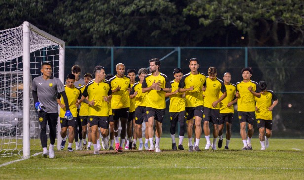 Harimau Malaya usah 'uji jantung penyokong'